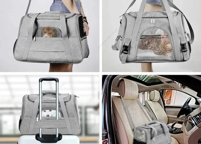 Sac Transport Aviation Chien - Conforme Compagnies - Anti-Suffocation