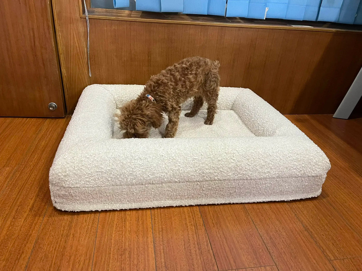 Dog standing on a large beige Orthopedic Dog Mattress in a room with wooden flooring.