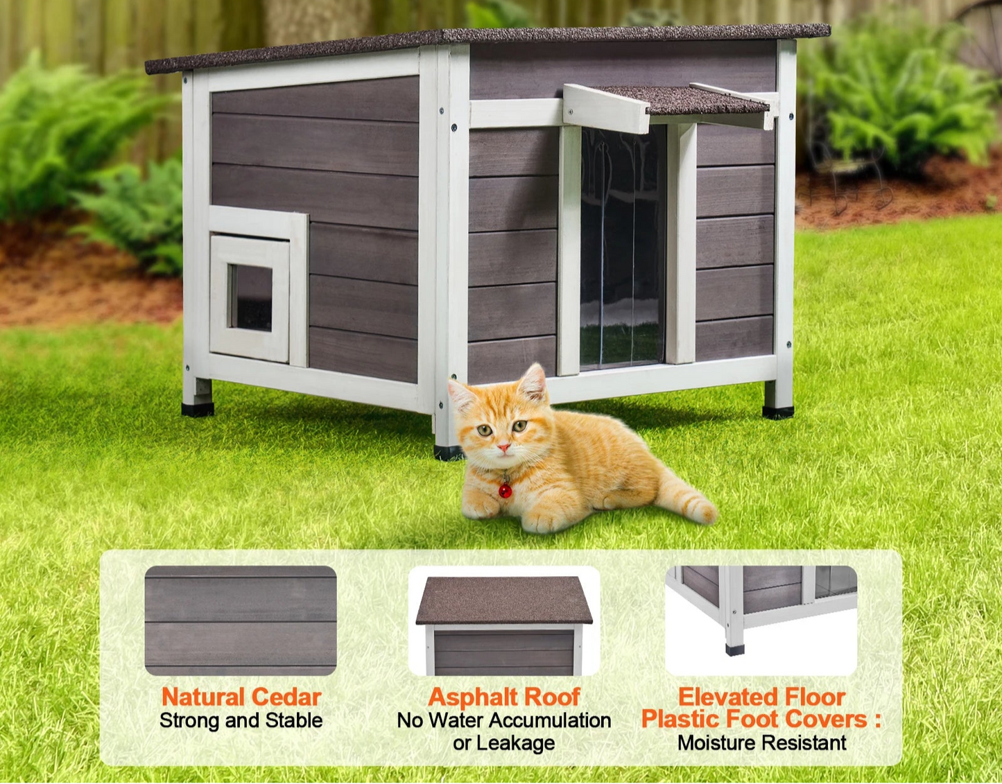 Petite Cabane Chat Extérieur - Cèdre Isolée - Rideau PVC Amovible
