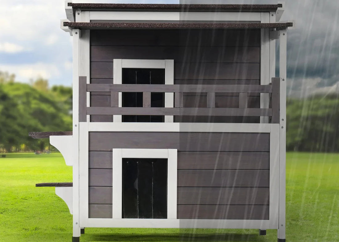 Construire une cabane pour chat isolée jusqu'à -20°C