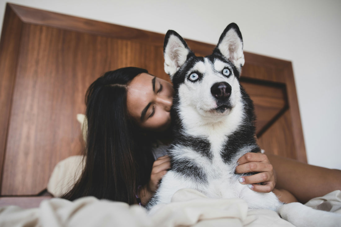 Est-ce qu'un chien doit dormir dans la chambre ? Le Verdict