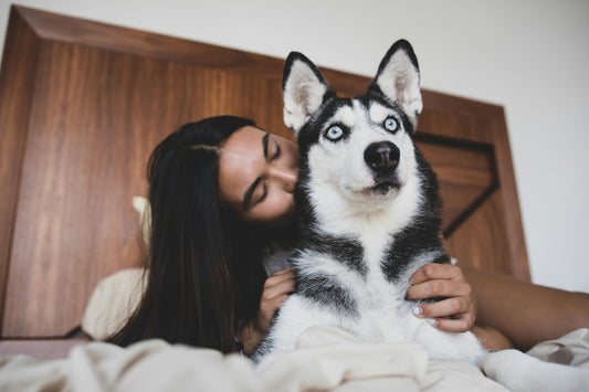 Est-ce qu'un chien doit dormir dans la chambre ? Le Verdict