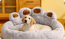 Confort Hiver Matelas Orthopédiques Premium