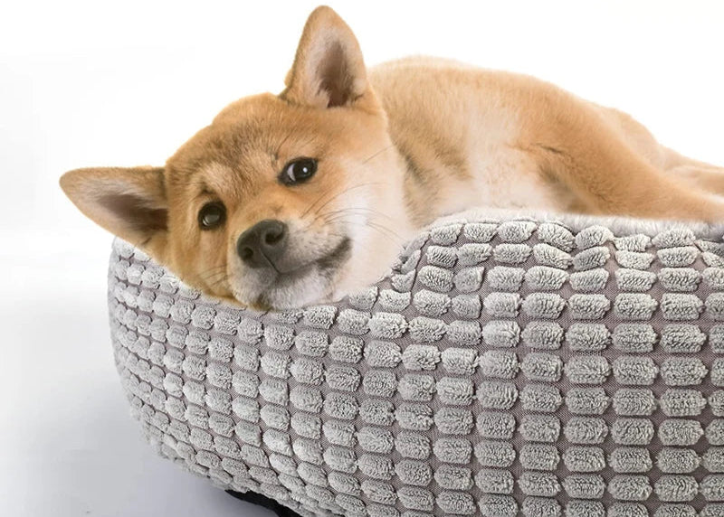 Dog lying in a textured gray pet bed on a white background