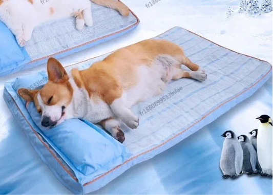 Orthopédique panier rafraichissant pour chien - Bords Relevés - Housse Lavable