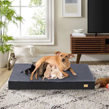 Panier Orthopédique Étanche Chien - 2-en-1 Hiver/Été - 4 Tailles
