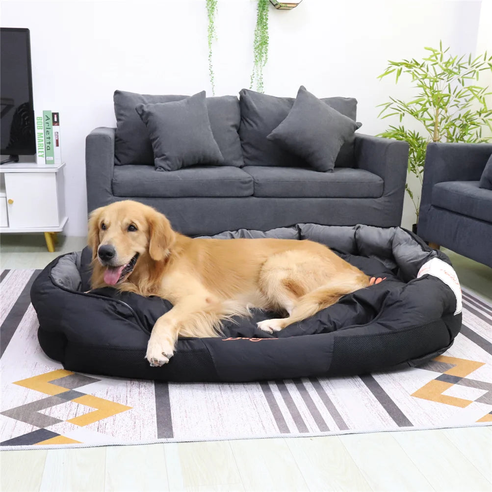 Dog lying on a black pet bed in a living room with gray sofas and plants.