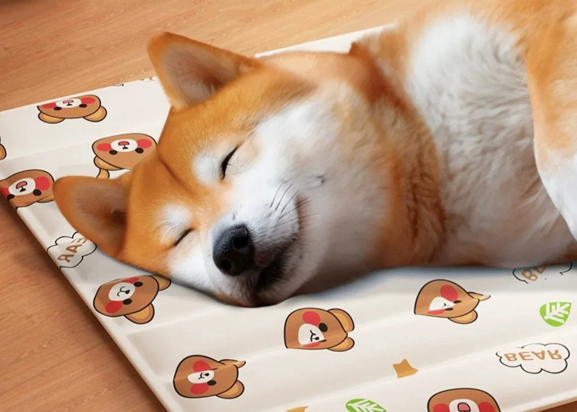 Dog sleeping on a cooling mat with cartoon designs