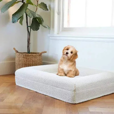 Dog sitting on a large white Orthopedic Dog Mattress in a room with a plant and window.
