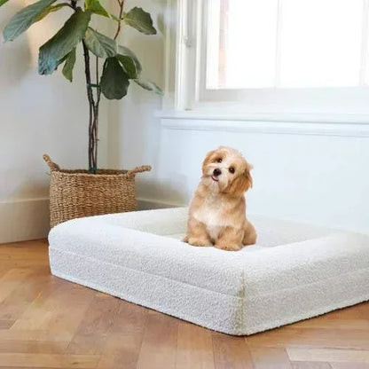 Dog sitting on a large white Orthopedic Dog Mattress in a room with a plant and window.