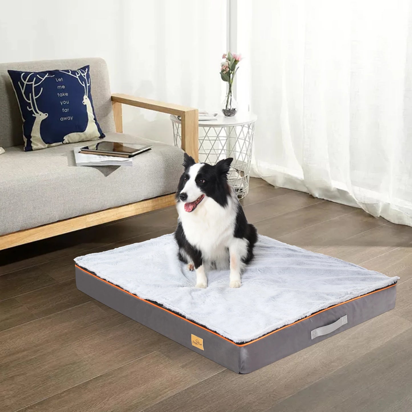 Dog sitting on a large pet bed in a living room.