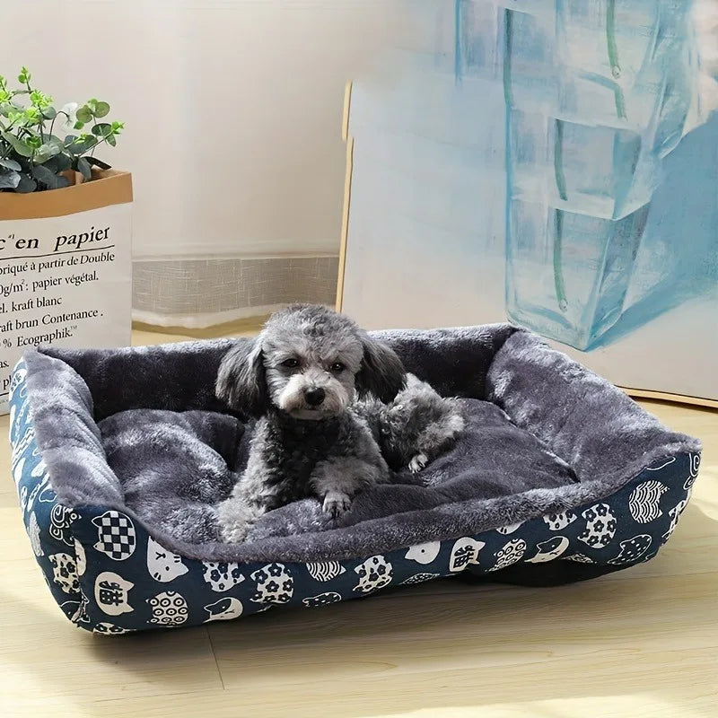 Dog lying on a patterned pet bed in a room with a plant and artwork.