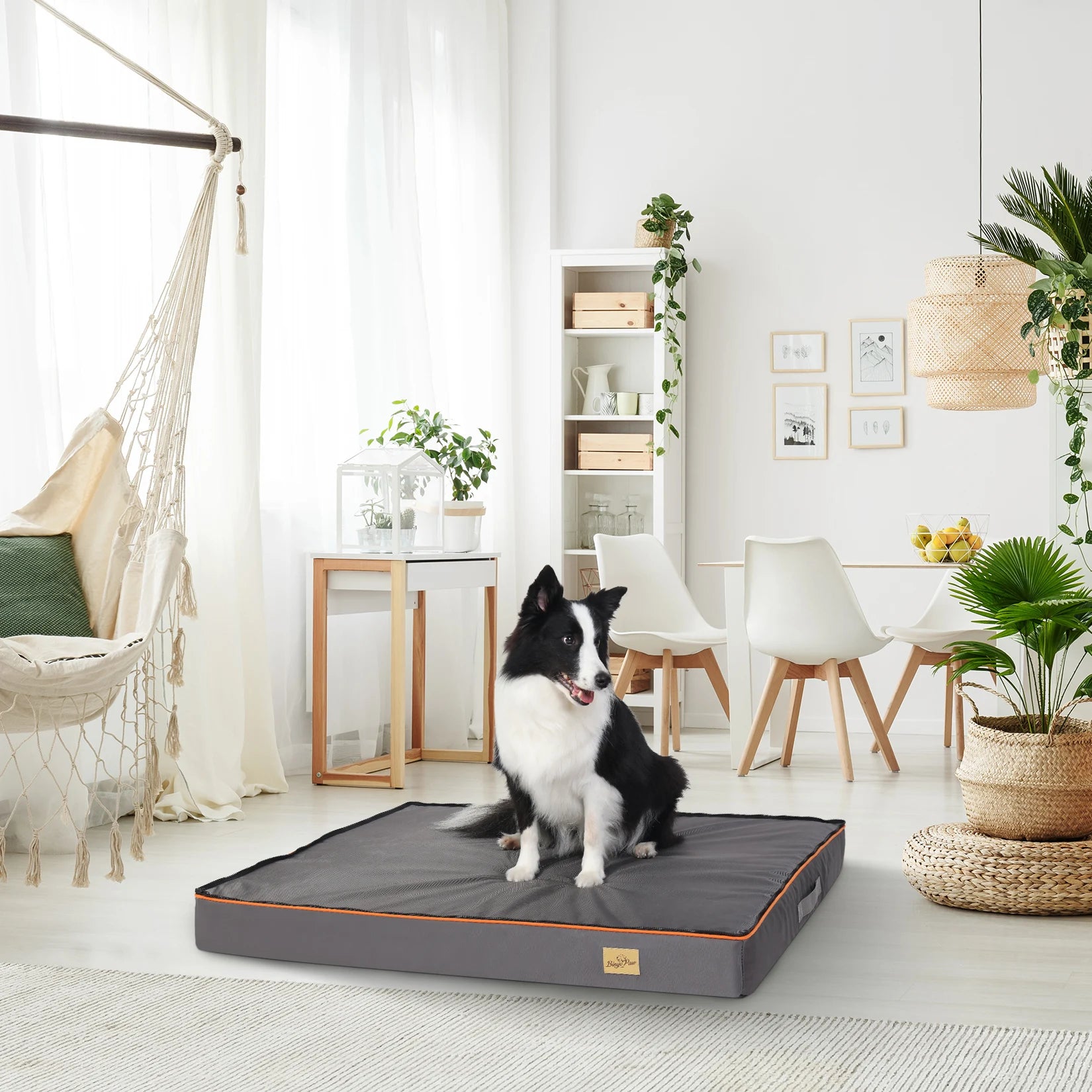 Dog sitting on a large Orthopedic Mattress in a bright, modern living room.