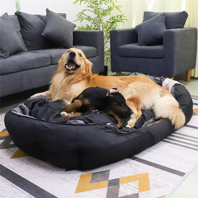 Two dogs on a large black pet bed in a living room setting with gray sofas and a plant.
