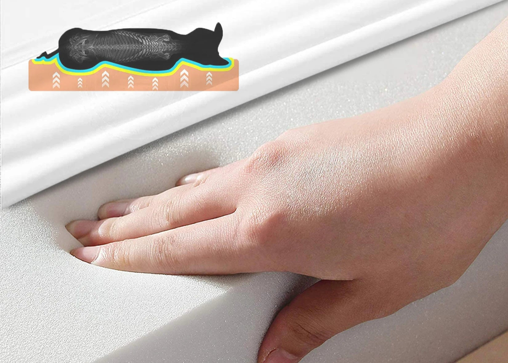 Hand pressing onto a piece of foam with text about premium sponge foam.