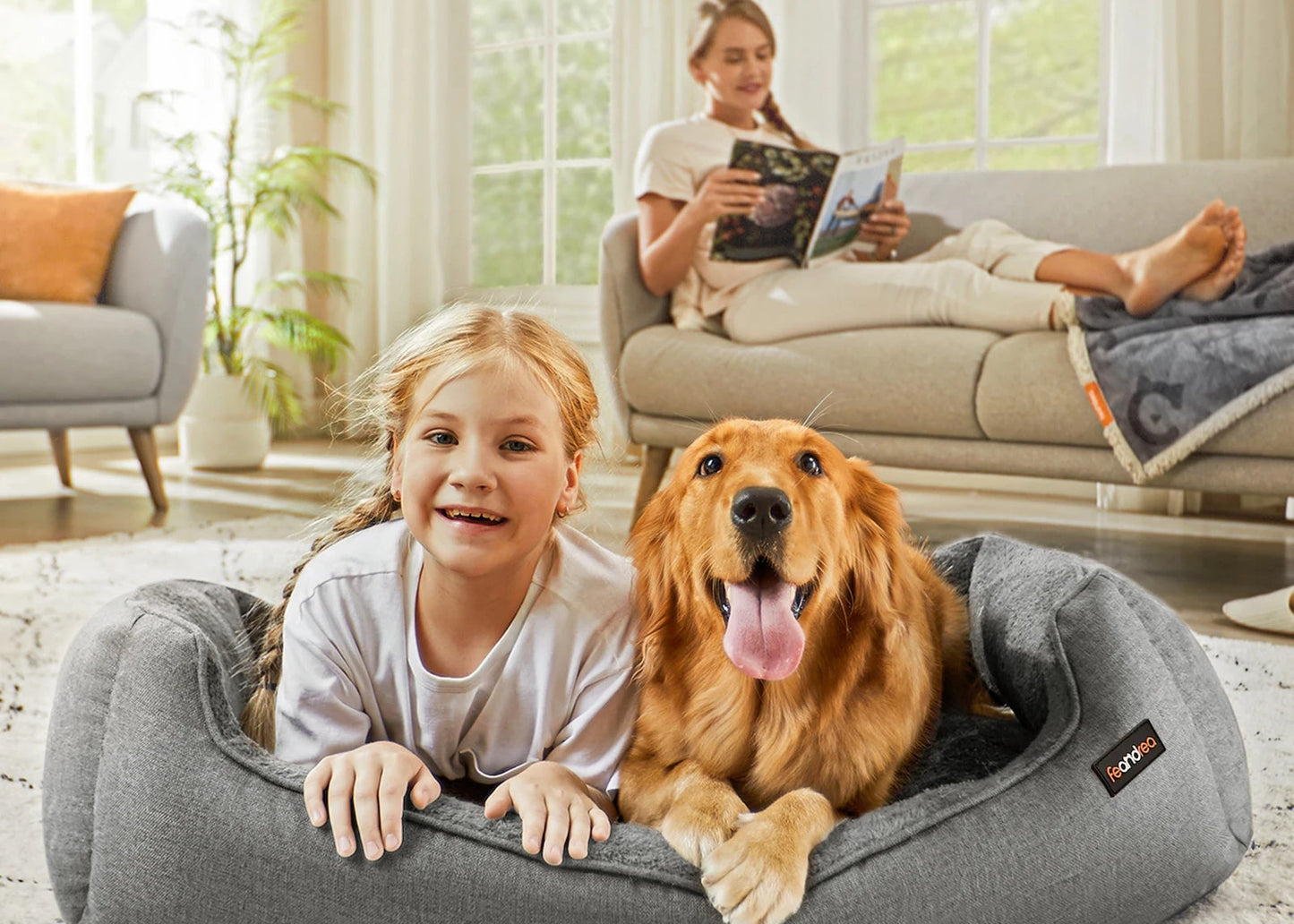 Panier Chien Bords Relevés - Housse Lavable Amovible - Antidérapant XL