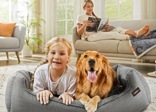 Panier Chien Bords Relevés - Housse Lavable Amovible - Antidérapant XL