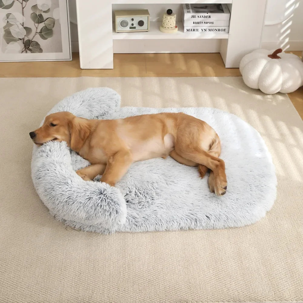 Dog lying on a fluffy gray pet bed in a cozy living room.