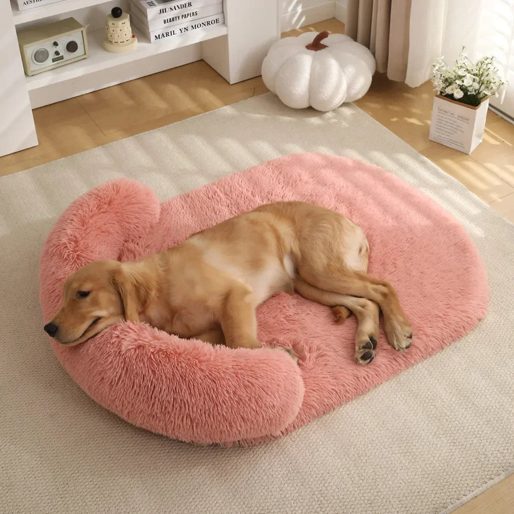 Dog lying on a pink Orthopedic Dog Bed in a cozy room.
