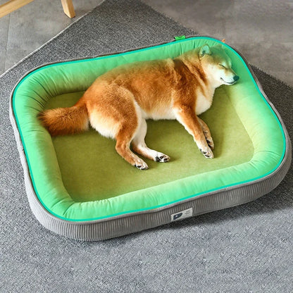 Panier Orthopédique Petit Chien - 100% Coton - Design Enveloppant