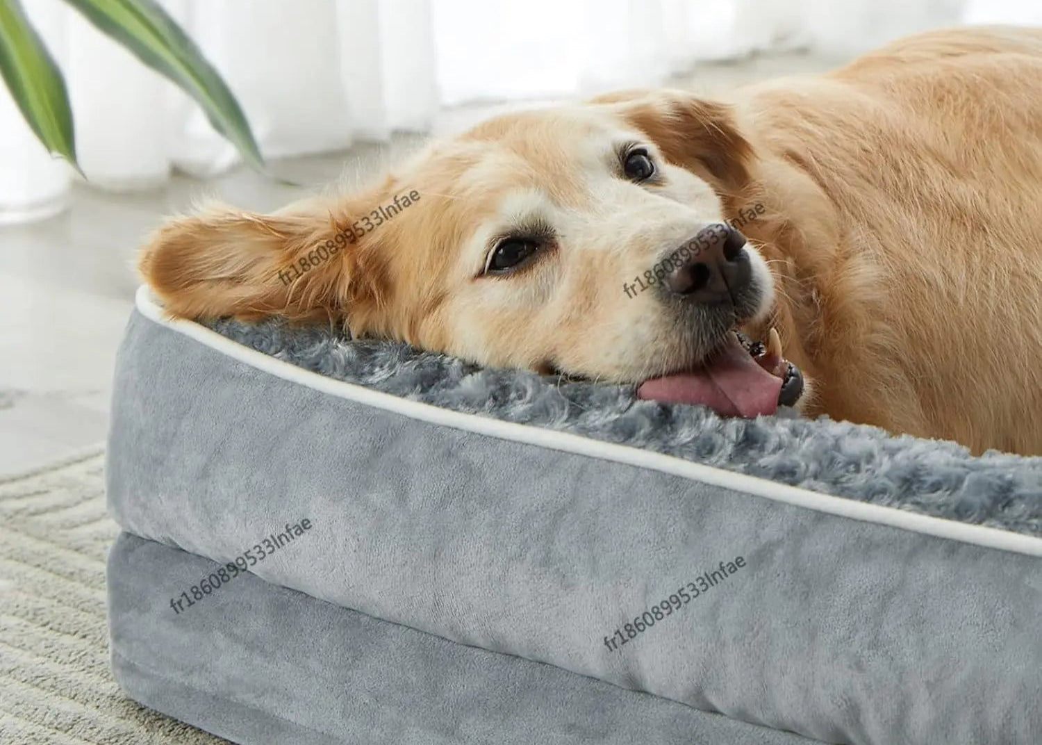 Dog lying on a gray pet bed with text about providing support for the pet's head and neck.
