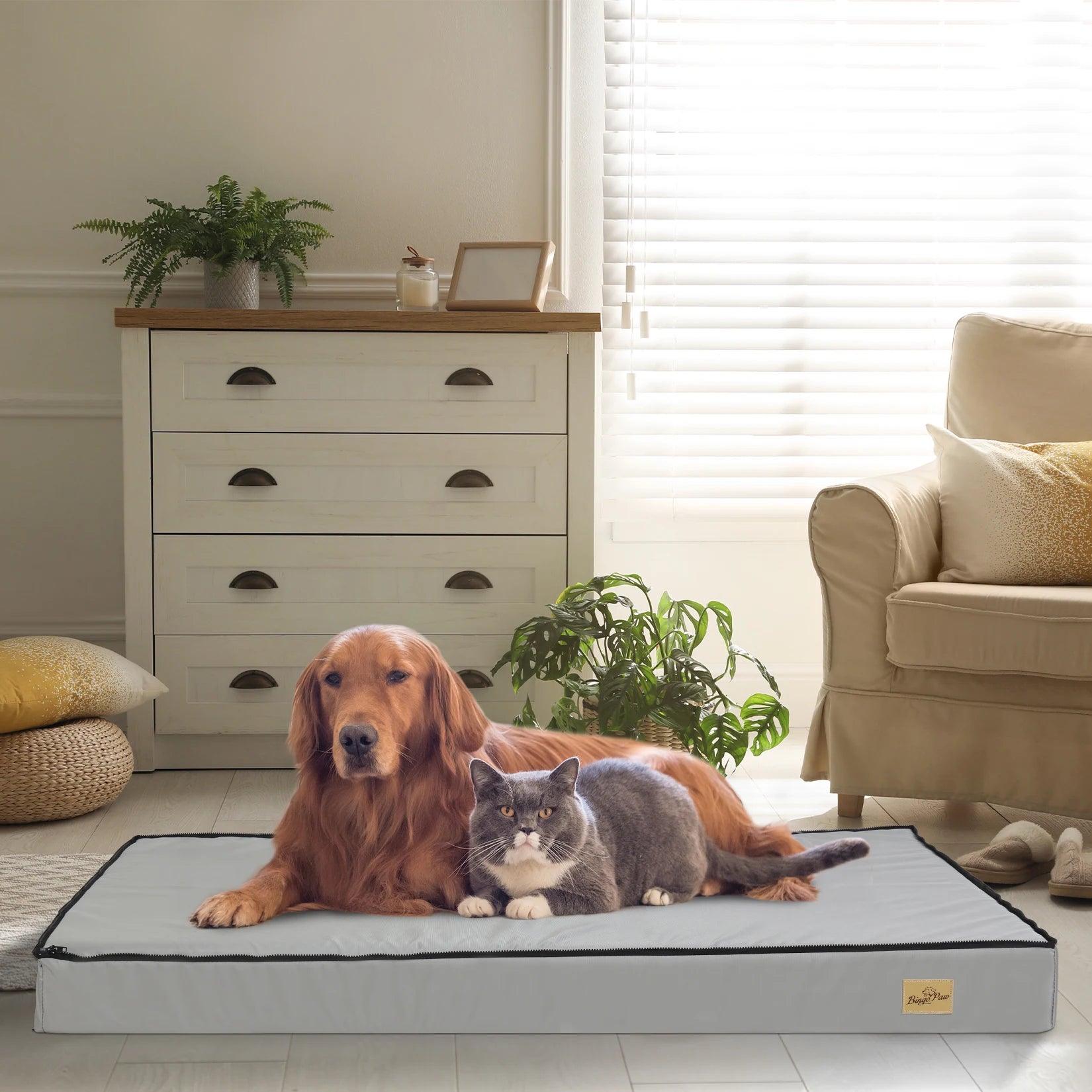 Dog and cat lying on a large pet mat in a cozy living room.