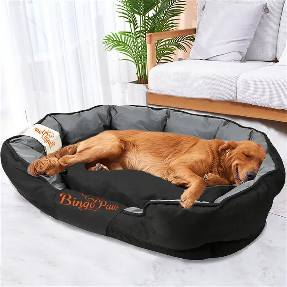Dog lying on a black and gray pet bed with 'Bingo Paws' branding in a home setting.