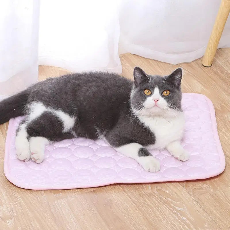 Tapis Rafraîchissant Chat - Fibres Techniques - Lavable Machine
