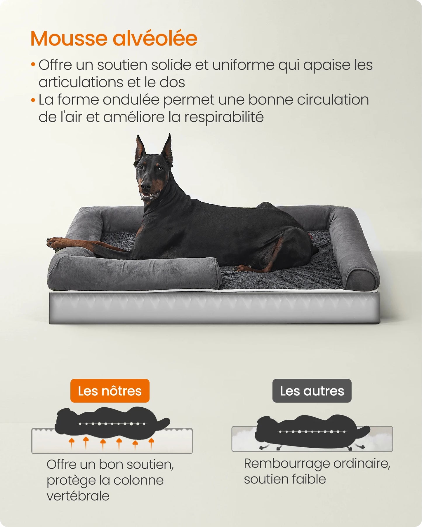Panier Orthopédique Grand Chien - Bords Relevés - Housse Lavable 120x85cm