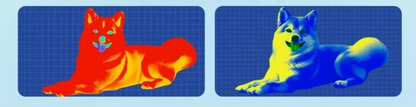 Two dogs shown in thermal imaging with different color scales.