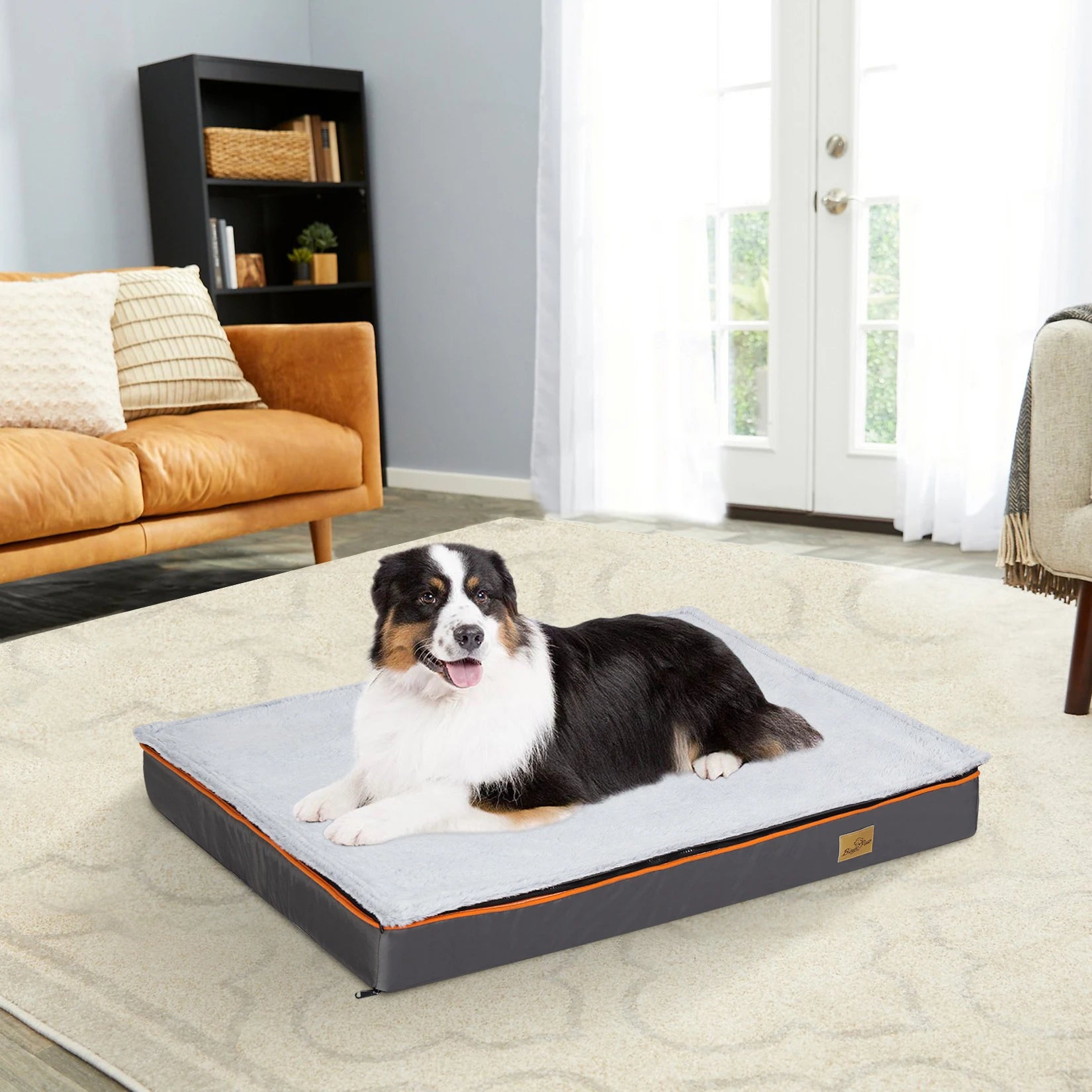 Dog lying on a large Orthopedic Mattress in a living room.
